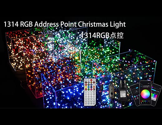 1314 RGB Address Point