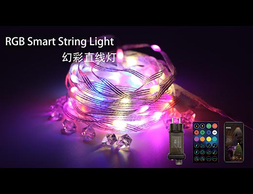 Smart Fairy Straight Light