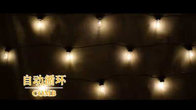 Warm white bulb light string 3