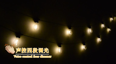 Warm white bulb light string