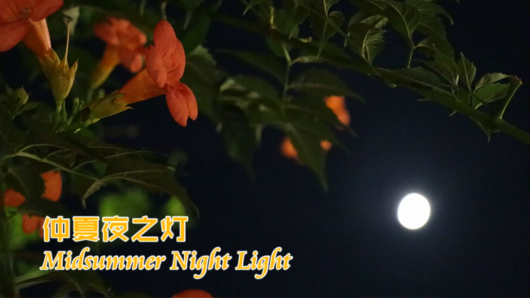 Midsummer Night Lamp