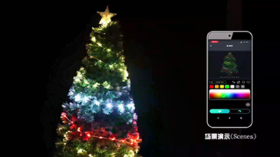 Illusion Straight Into Christmas Tree GP
